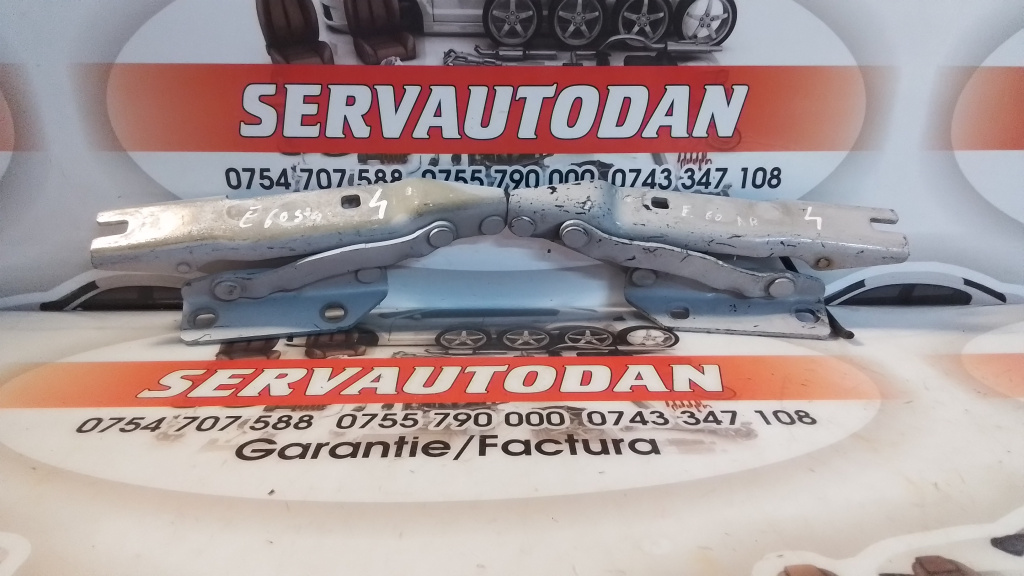 Set balamale capota fata BMW Seria 5 (2003-2010) [E60] 2.0 Motorina 2006, STANGA+DREAPTA / 7008728 / 7008727