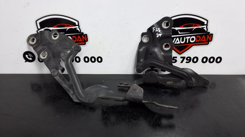 Set balamale capota fata BMW X3 (2010-2017) [F25] 2.0 Motorina 2012, 7210729 / STANGA+DREAPTA / 7210...