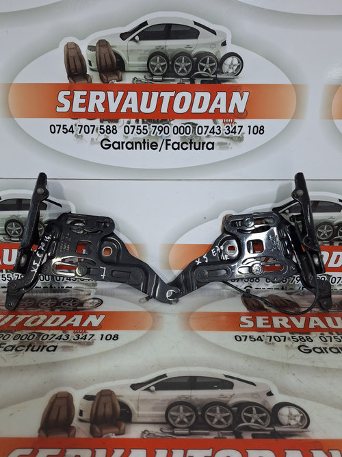 Set balamale capota fata BMW X5 (2007-2013) [E70] 3.0 Motorina 2011, DREAPTA + STANGA / 7148347 / 71...