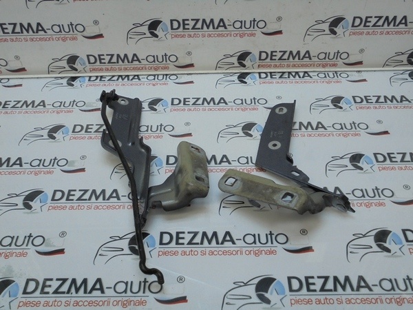 Set balamale capota fata, Citroen C4 coupe (LA)