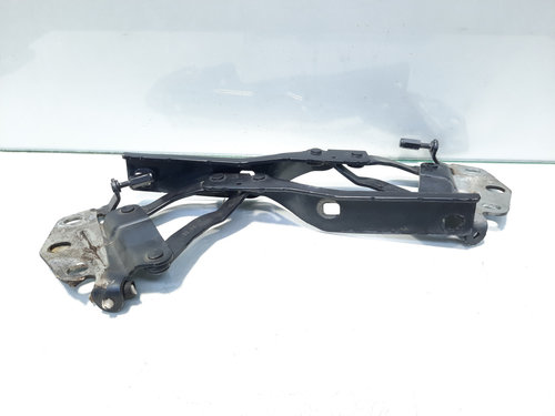 Set balamale capota fata, cod 3AA823302, Vw Passat (362) (idi:497785)