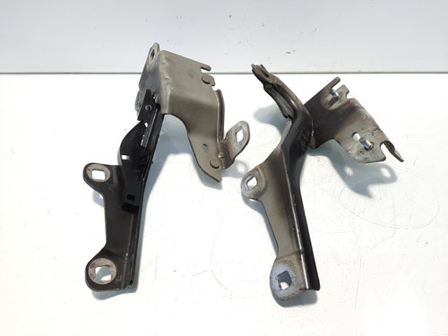 Set balamale capota fata, cod 654010001R, Renault Laguna 3 (id:555193)