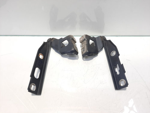 Set balamale capota fata, cod 8K0823301, Audi A4 (8K2, B8) (id:459907)