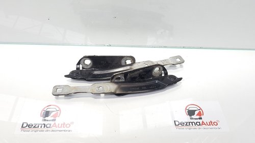 Set balamale capota fata, Dacia Sandero (id:365498)