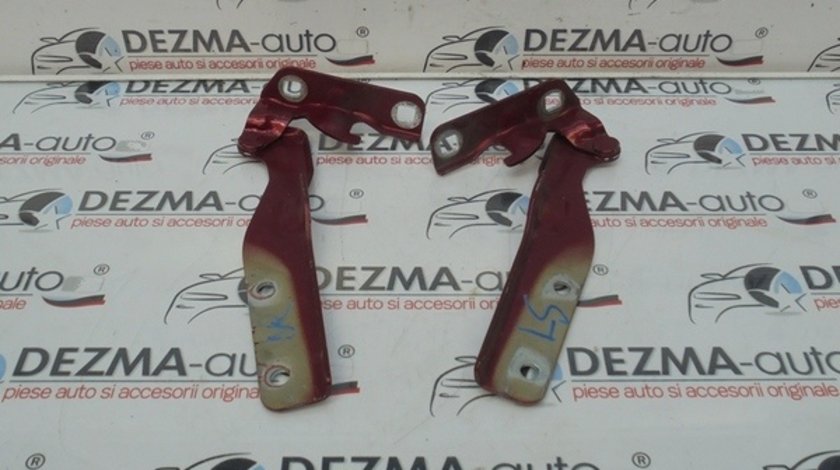 Set balamale capota fata, Fiat Doblo (119)