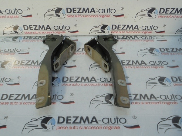 Set balamale capota fata, Fiat Punto (199) 1.3m-jet