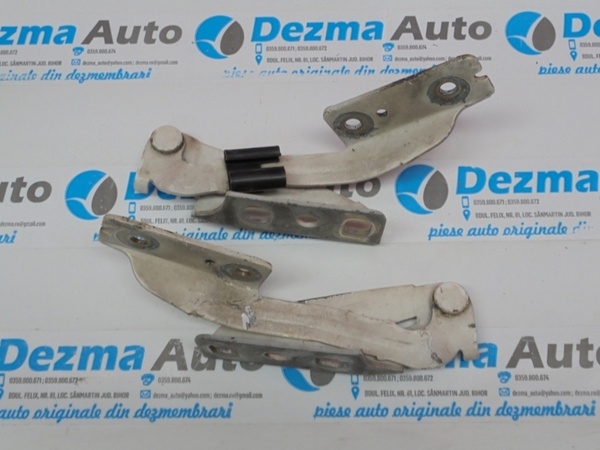 Set balamale capota fata, Ford (id:163030)