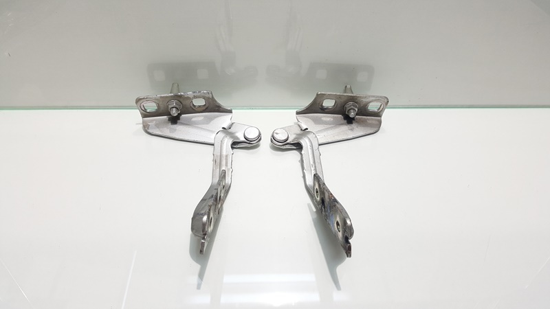 Set balamale capota fata, Ford Transit Connect (P65) (id:266604)