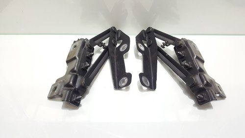 Set balamale capota fata, GM12841601, Opel Insignia A (id:254628)