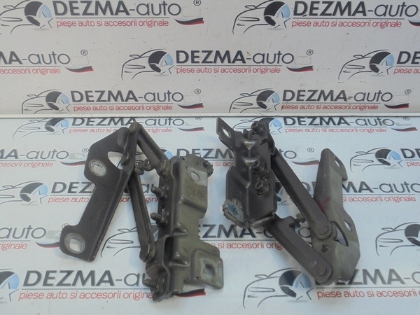 Set balamale capota fata, GM12841601, Opel Insignia sedan