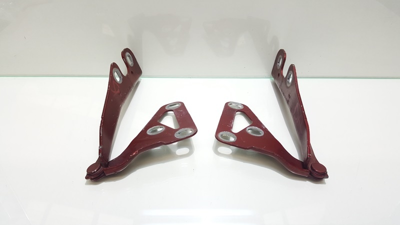 Set balamale capota fata, GM13213450, Opel Signum (id:189493)