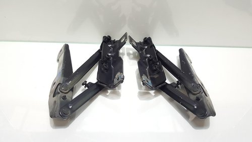 Set balamale capota fata, GM13248765, Opel Insignia A Combi (id:244680)