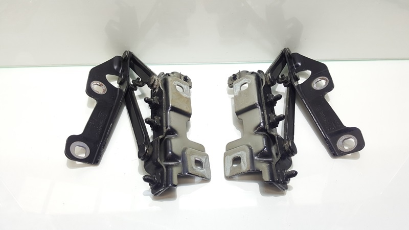 Set balamale capota fata, GM13248766, Opel Insignia A (id:205766)