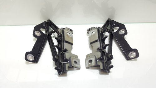 Set balamale capota fata, GM13248766, Opel Insignia A (id:205766)