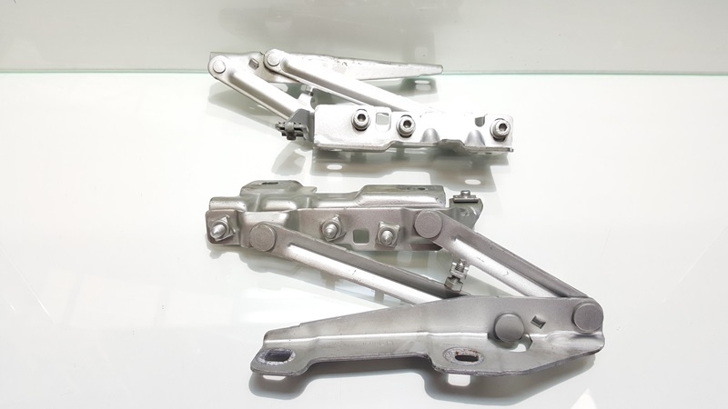 Set balamale capota fata, GM13248766, Opel Insignia A (id:281500)