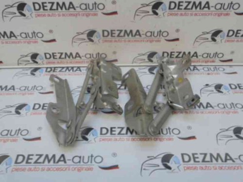 Set balamale capota fata GM13248766, Opel Insignia Sports Tourer