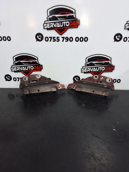 Set balamale capota fata Land Rover Freelander 2 (2006->) 2.2 Motorina 2007, STANGA+DREAPTA