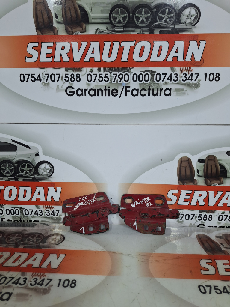 Set balamale capota fata Mercedes-Benz Sprinter (1995-2006) [901, 902] 2.2 Motorina 2001, STANGA+ DREAPTA