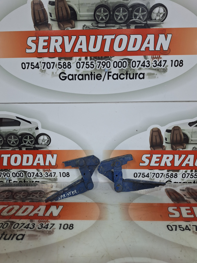 Set balamale capota fata Mercedes-Benz Sprinter (1995-2006) [901, 902] 2.2 Motorina 2001, STANGA + DREAPTA