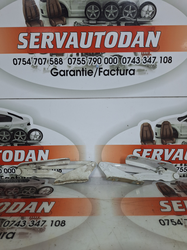 Set balamale capota fata Mercedes-Benz Sprinter (2009->) [906] 2.2 Motorina 2017, STANGA + DREAPTA / 9067500021 / 9067500121
