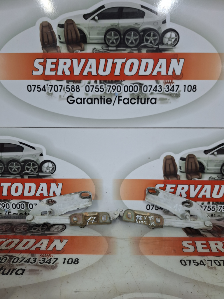 Set balamale capota fata Mercedes-Benz Sprinter (2009->) [906] 2.2 Motorina 2010, DREAPTA + STANGA / 9067500021 / 9067500121