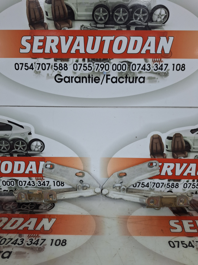 Set balamale capota fata Mercedes-Benz Sprinter (2009->) [906] 2.2 Motorina 2010, DREAPTA + STANGA