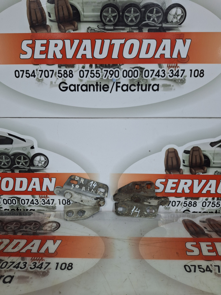 Set balamale capota fata Mercedes-Benz Sprinter (1995-2006) [901, 902] 2.2 Motorina 2001, DREAPTA +STANGA