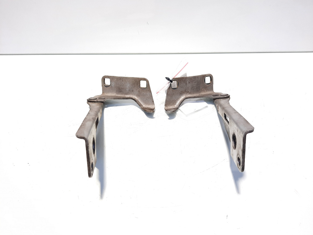 Set balamale capota fata, Nissan Pathfinder (R51) (idi:527039)
