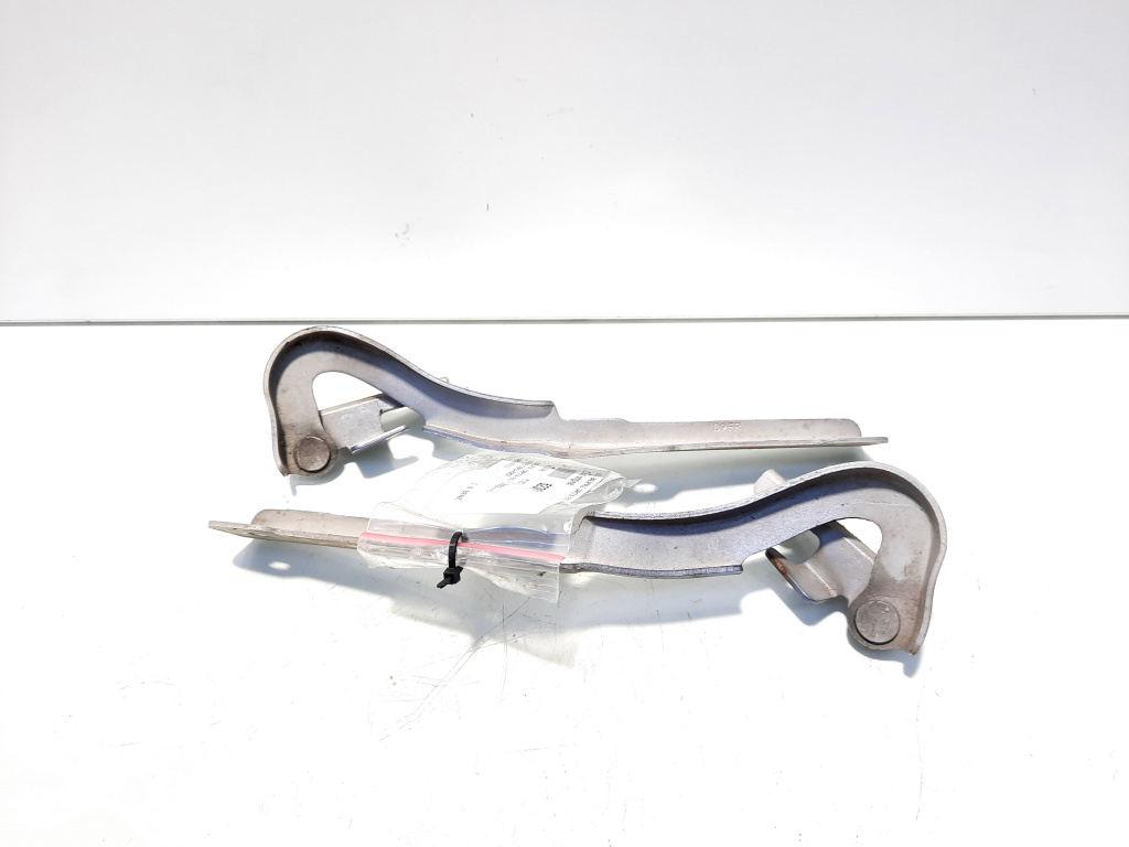 Set balamale capota fata, Nissan Pixo (UA0) (id:523614)