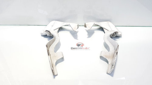 Set balamale capota fata, Opel Antara [Fabr 2006-2017] (id:402948)