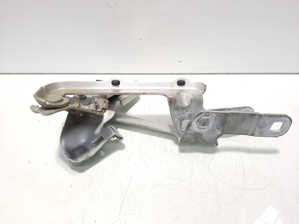 Set balamale capota fata, Opel Meriva B (id:555291)