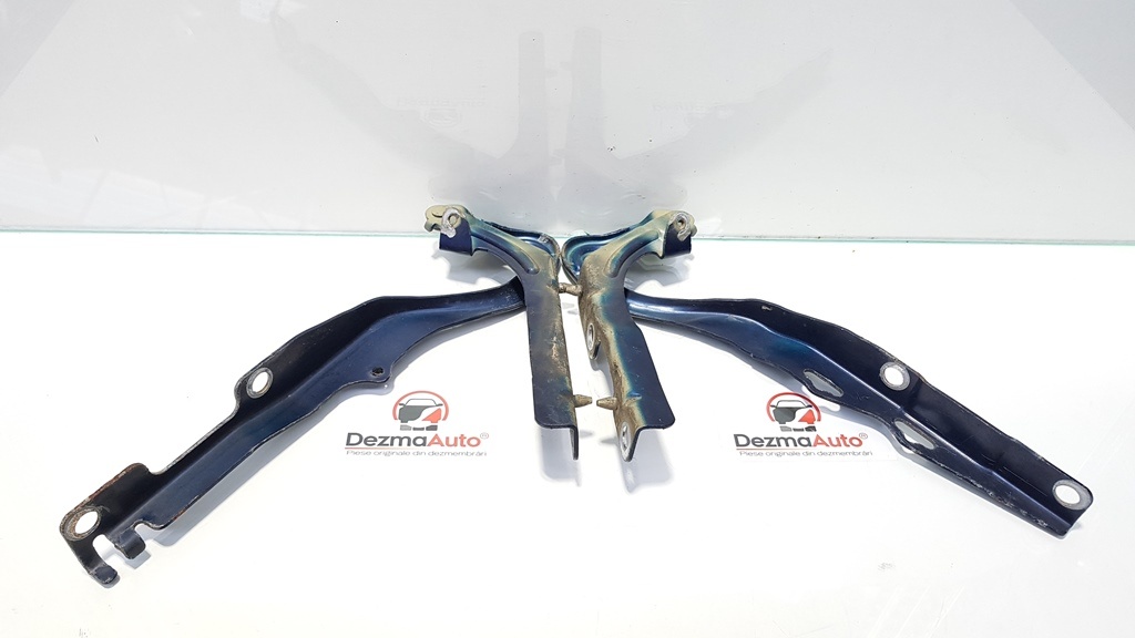 Set balamale capota fata, Peugeot 207 Sedan