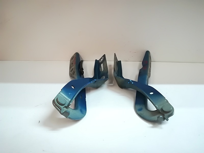 Set balamale capota fata, Peugeot 307 hatchback (id:139765)