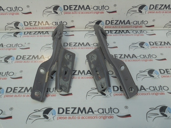 Set balamale capota fata, Peugeot 307 sedan
