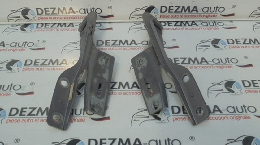 Set balamale capota fata, Peugeot 307 sedan