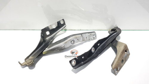 Set balamale capota fata, Peugeot 308 [Fabr 2007-2013] 9656739680 (id:404035)