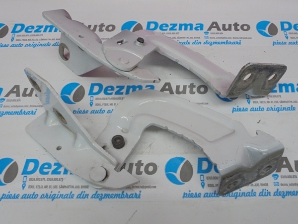 Set balamale capota fata, Renault (id:125869)