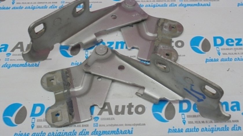 Set balamale capota fata, Renault (id:198847)