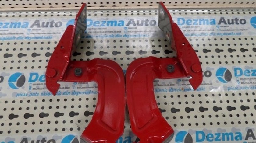 Set balamale capota fata Renault Kangoo (KC0/1) 1997-In prezent