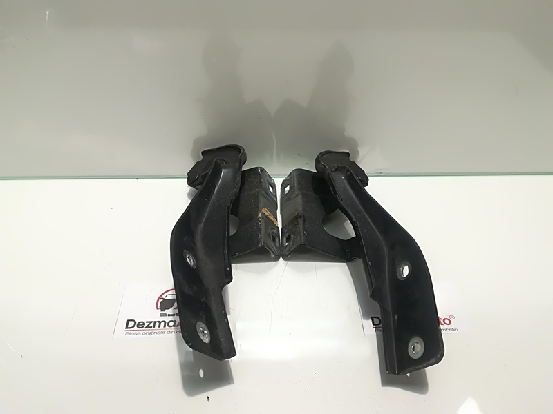 Set balamale capota fata, Renault Koleos (id:345635)
