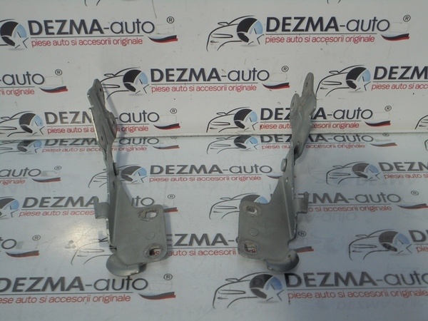 Set balamale capota fata, Renault Laguna 2 combi (id:210593)