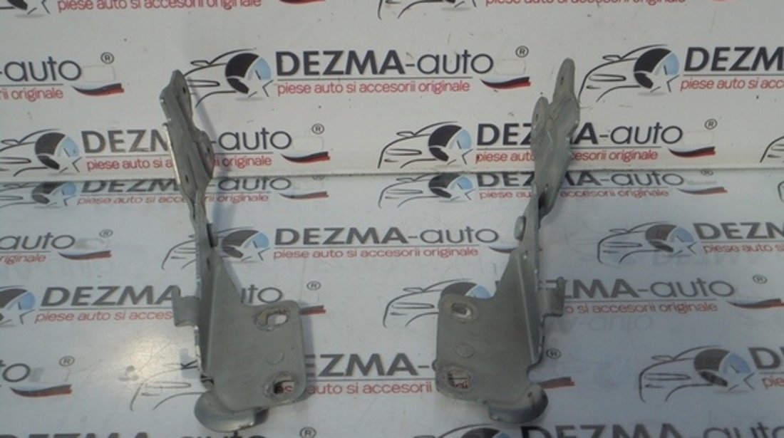 Set balamale capota fata, Renault Laguna 2 combi (id:210593)