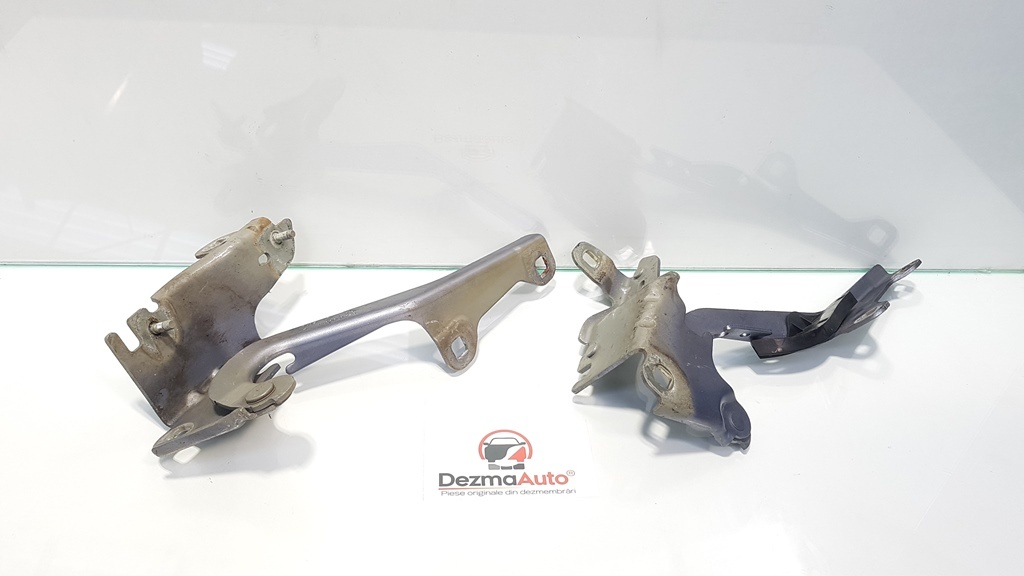 Set balamale capota fata, Renault Laguna 3 Combi