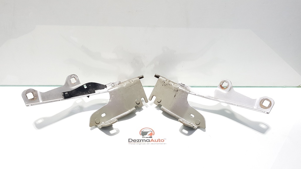 Set balamale capota fata, Renault Laguna 3 Combi, 654010001R