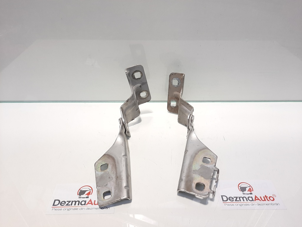 Set balamale capota fata, Renault Megane 2 Combi [Fabr 2003-2008] (id:433479)