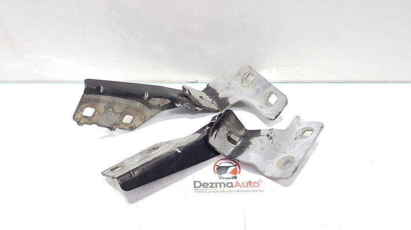 Set balamale capota fata, Renault Megane 2 Combi