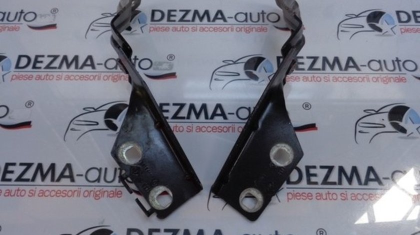 Set balamale capota fata, Renault Megane 2 combi (KM0/1) 2003-2008 (id:185020)