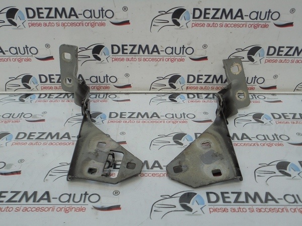 Set balamale capota fata, Renault Megane 2 (id:261461)