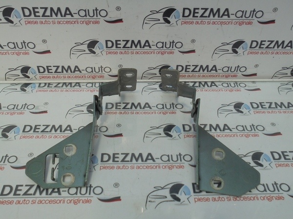 Set balamale capota fata, Renault Megane 2 (id:265410)