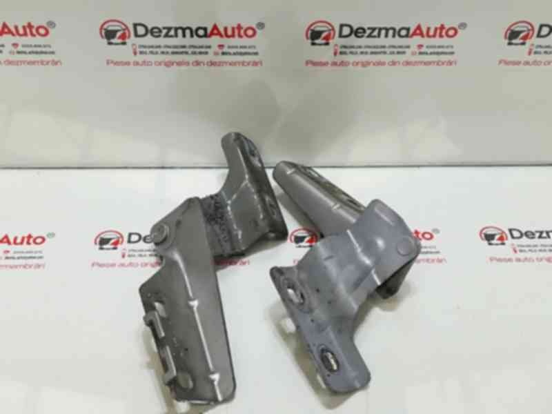 Set balamale capota fata, Renault Megane 2 (id:319030)